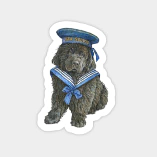 Newfoundland Puppy in blue Sea Scout hat Sticker